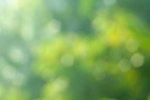istock Abstract blur of nature 1283183809
