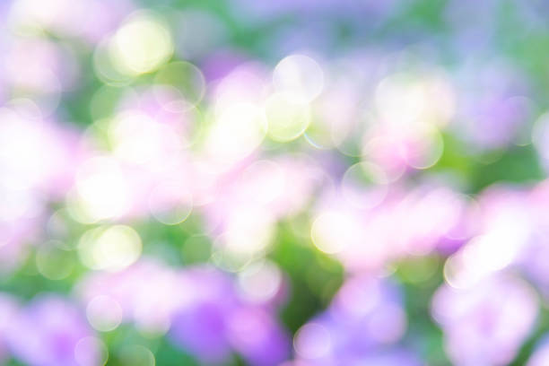 Abstract blur of nature with green and purple