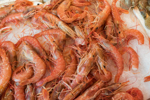 istock Prawns to the market 1283189094