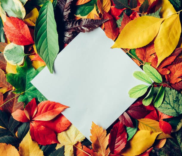 istock Colorful autumn leaves with blank paper card note 1283189248
