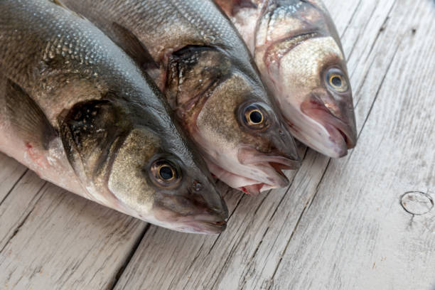 istock Sea bass with white background 1283190486