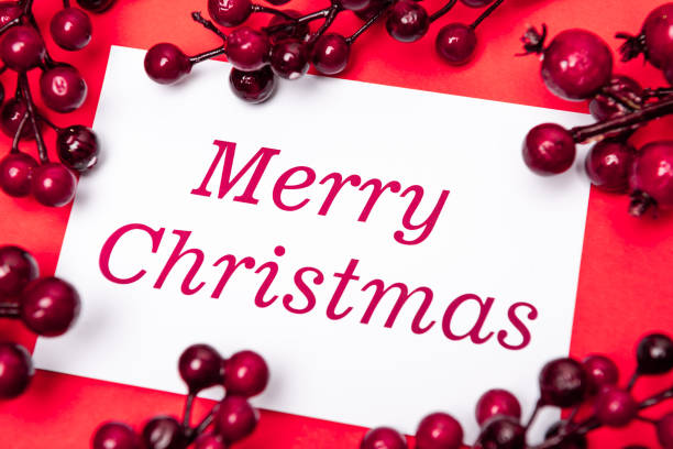 merry Christmas card and berries on red background