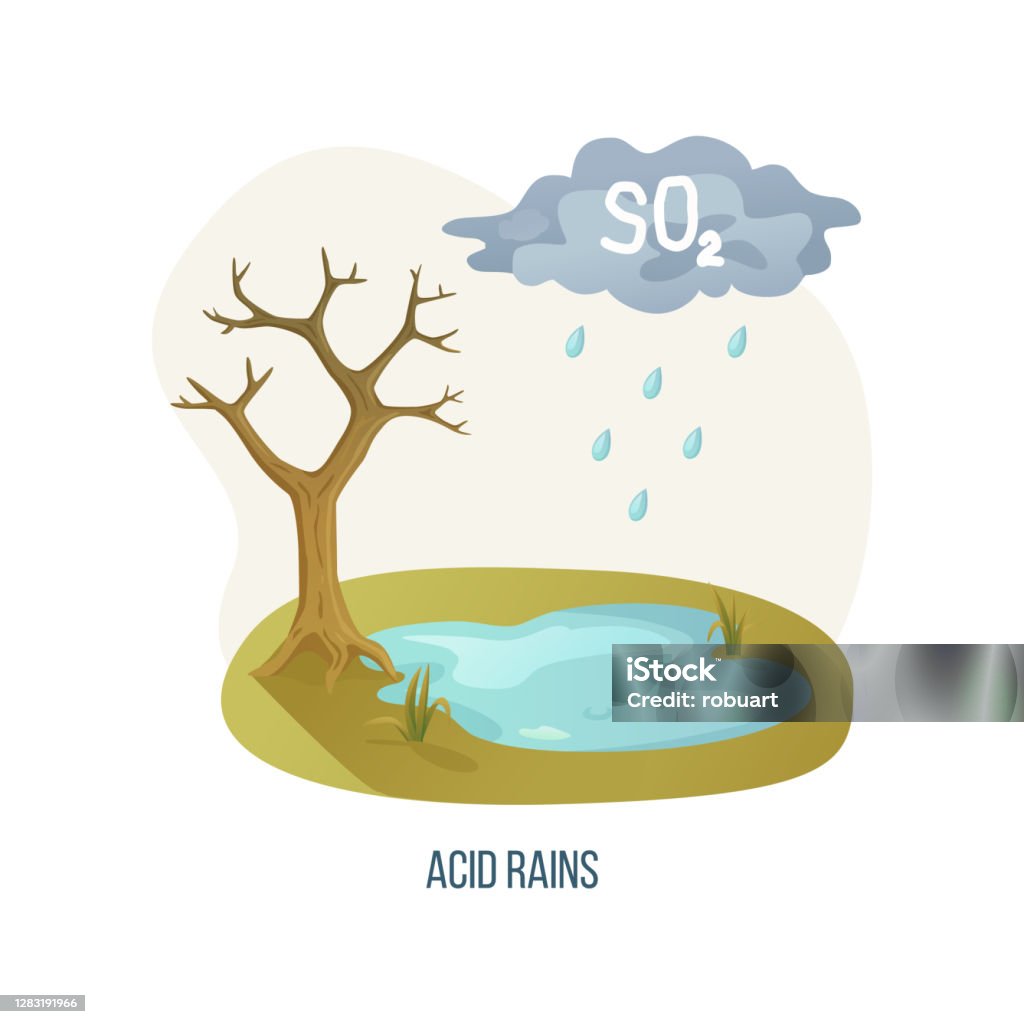 Cây Mưa Axit Với Đám Mây Và Chất Lỏng Nguy Hiểm Hình minh họa Sẵn ...