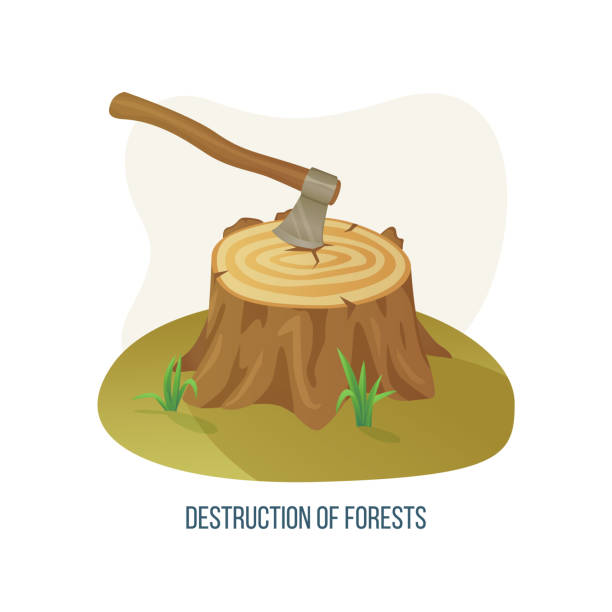 illustrations, cliparts, dessins animés et icônes de destruction des forêts et problème de déforestation - deforestation