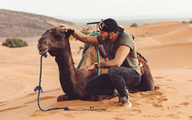 istock man touching a dromedary in the desert 1283197239