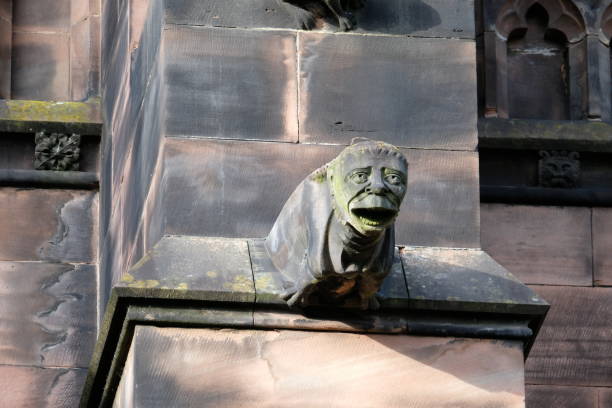 гротескная горгулья, честерский собор, великобритания. - chester england church cathedral tower стоковые фото и изображения