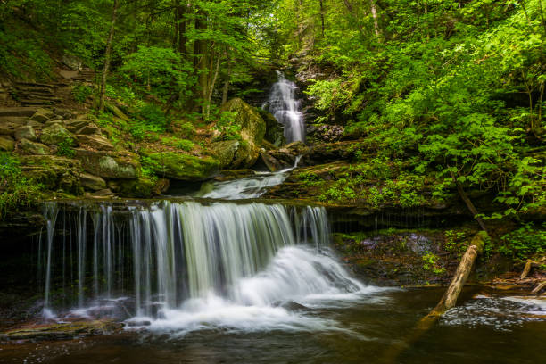 istock Ozone Falls, at Ricketts Glen State Park, Pennsylvania 1283202764