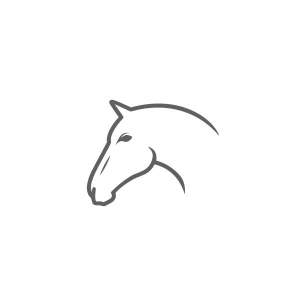 Horse head Horse head profile silhouette with a stylized mane on white background. horse outlines silhouette stock illustrations