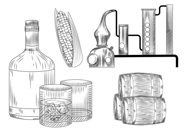 ilustraciones, imágenes clip art, dibujos animados e iconos de stock de juego de bourbon. vidrio y botella, maíz, barril, alambique, hielo. grabado de estilo vintage. - alambique