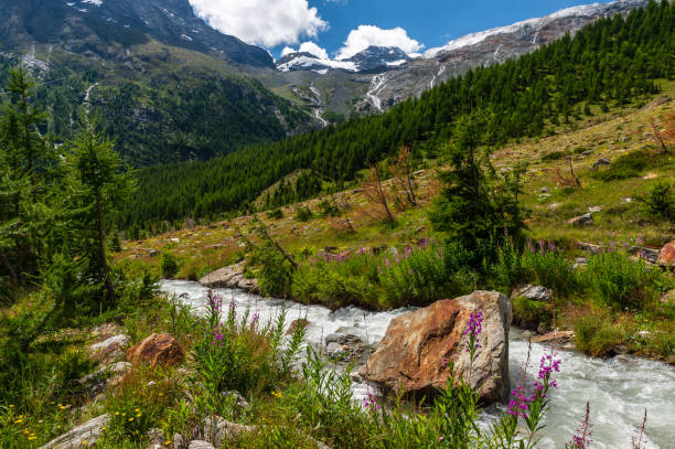 istock Fast mountain river Torrenbach above 2000m in Saas-Fee, Switzerland 1283203916