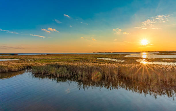 istock View of the natural paradise Prerowstrom / Bodstedter Bodden at sunset 1283210859