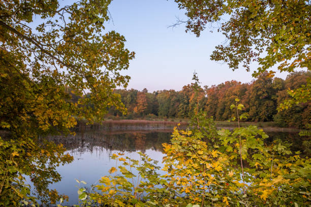 istock Autumn colors in the park 1283210891
