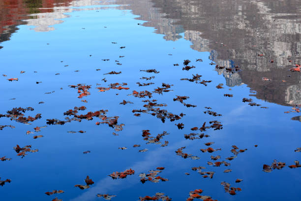 autumn