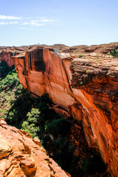 kings canyon dans le parc national de watarrka, territoire du nord, australie, outback - australia nature kings canyon northern territory photos et images de collection