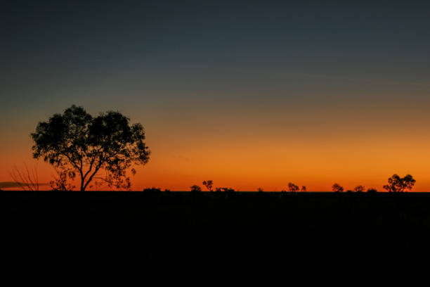 istock Wolfe Creek Meteorite Crater, Western Australia 1283211325