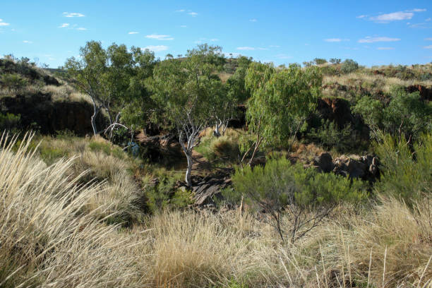 istock China Wall, Halls Creek, Western Australia 1283211356