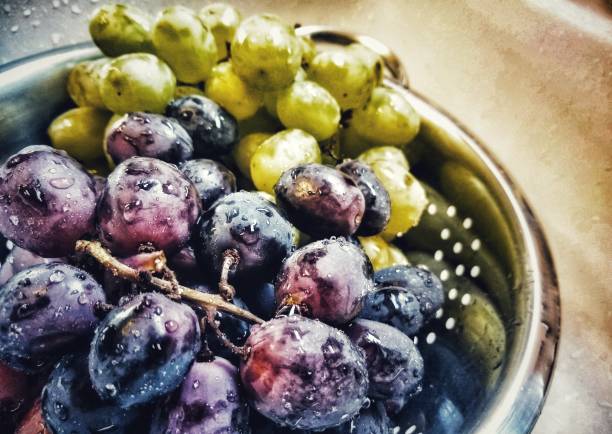 Harvested vine fresh green and red seedless grapes washed with water and resting in a metal colander.