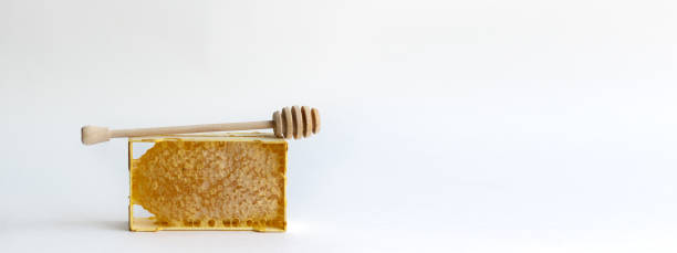 istock Fresh honey in a mini frame stands on a white background. Reserve vitamins for the winter 1283213241