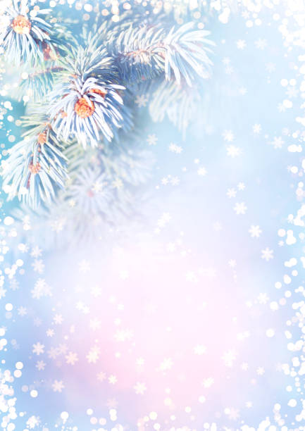 istock Horizontal Christmas background with branch of blue spruce 1283214265
