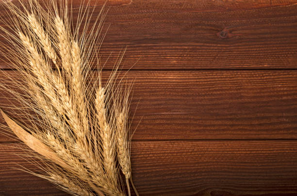 istock Wheat ears on the wooden background 1283215754
