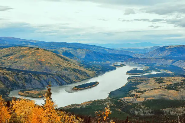 View over the mighty Yukon River from the Midnight Dome Lookout, located above the community of   Dawson City.