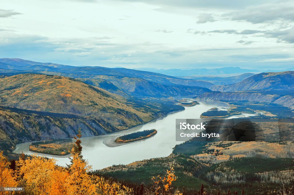 Rio Yukon, Yukon, Canadá - Foto de stock de Rio Yukon royalty-free