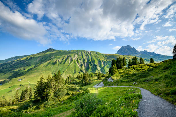 góry z lasem i dramatycznym niebem - bregenzwald zdjęcia i obrazy z banku zdjęć
