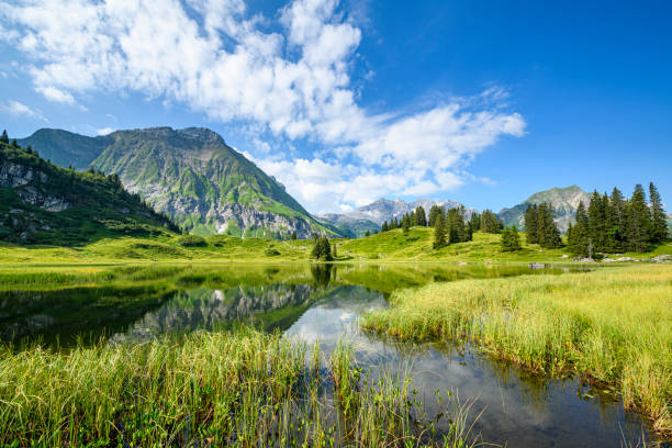 refleksje nad idyllicznym jeziorem - bregenzwald zdjęcia i obrazy z banku zdjęć