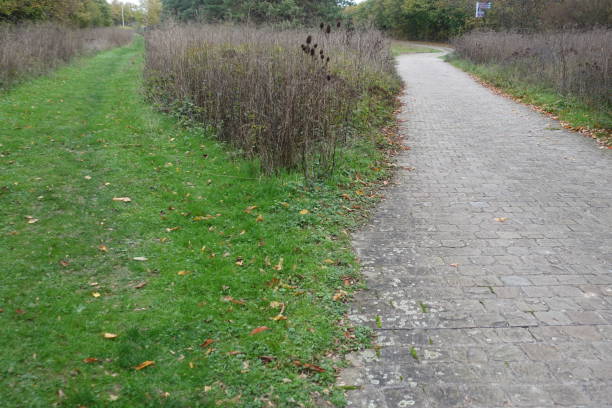 istock Thistle hedge  Grass path and paved road   Autumn season   Natural park 1283221027