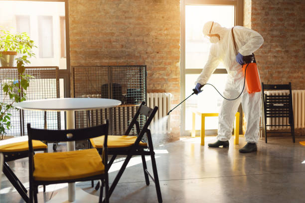 istock Man disinfecting floor at an office with manual sprayer pump 1283221334