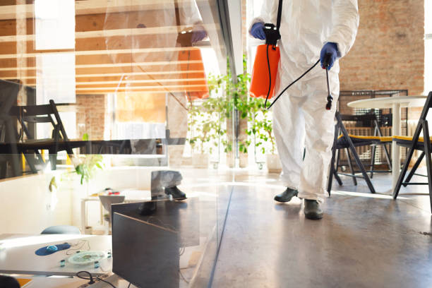 istock Unrecognizable person spraying antiseptic for decontamination of an office workspace during COVID-19 pandemic 1283221376