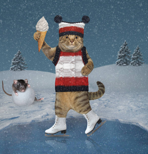 istock Cat in hat ice skating on pond 1283221403