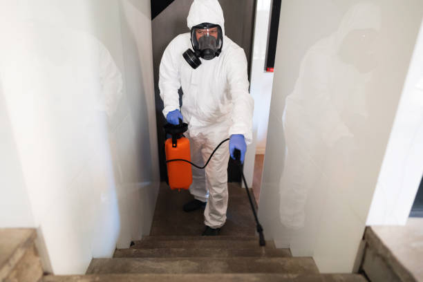 istock Disinfection of a staircase at a office building 1283221413