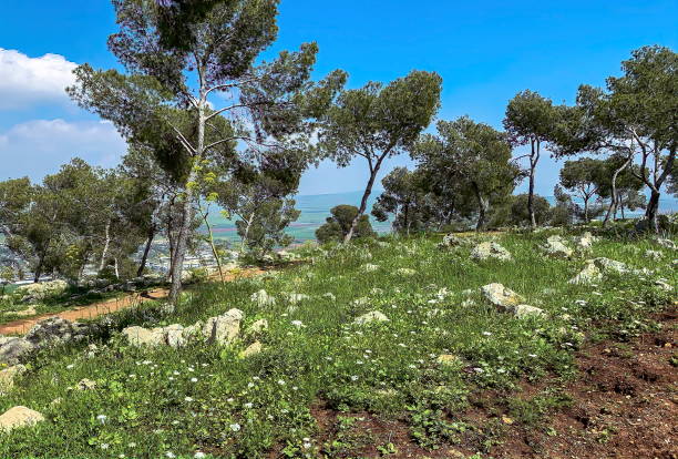 Panoramic view on a Beit Shean valley from mount Gilboa (Israel)