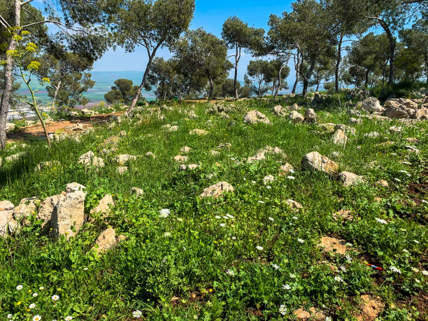 istock Panoramic view on a Beit Shean valley from mount Gilboa (Israel) 1283223965