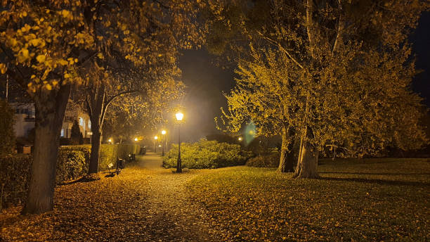 istock Park in the evening without people, a lit lantern. 1283224302