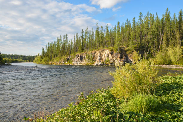 istock Taiga river in the Komi Republic. 1283224472