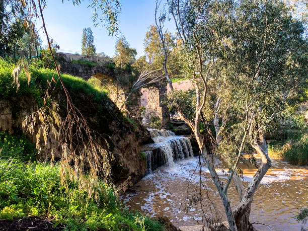 Waterfall and old aqueduct in the eucalyptus grove. Harod Stream in the Beit She'an Valley. Waterfall and old aqueduct in the eucalyptus grove. beit shean photos stock pictures, royalty-free photos & images