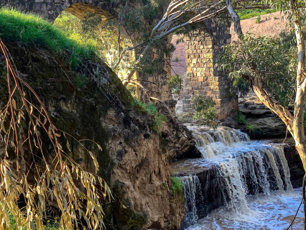 istock Waterfall and old aqueduct in the eucalyptus grove. 1283224951
