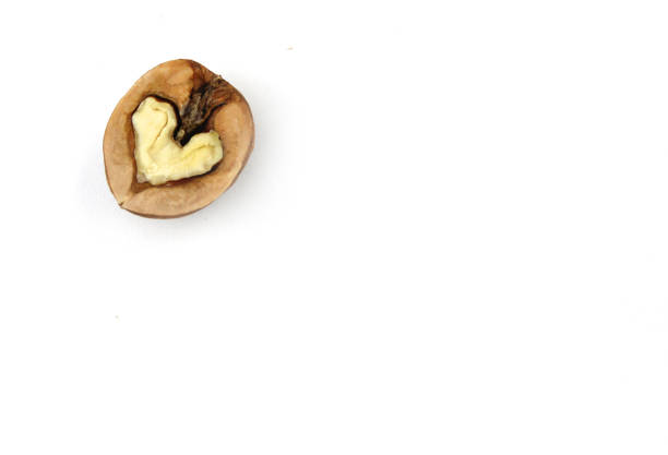 istock walnut in a heart isolated on white background. 1283229232