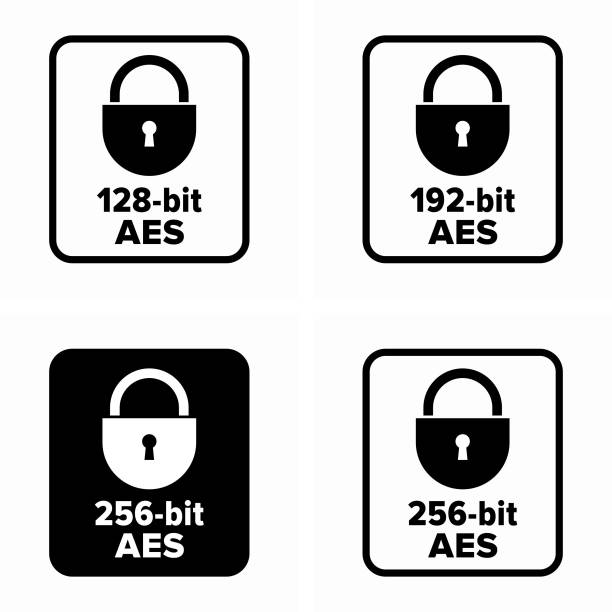 illustrazioni stock, clip art, cartoni animati e icone di tendenza di advanced encryption standard (aes), con nome originale rijndael - aes
