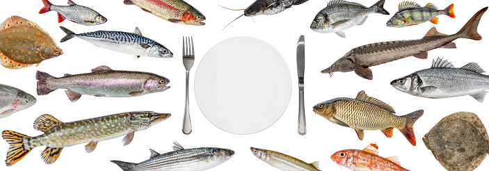 School of various fish float right into the plate. Fish isolated collection. Shop fish restaurant