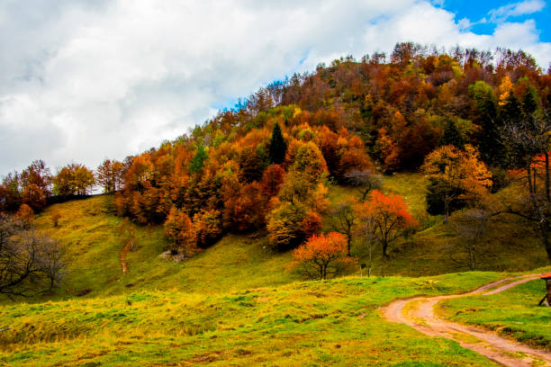 istock all shades of autumn 1283232828