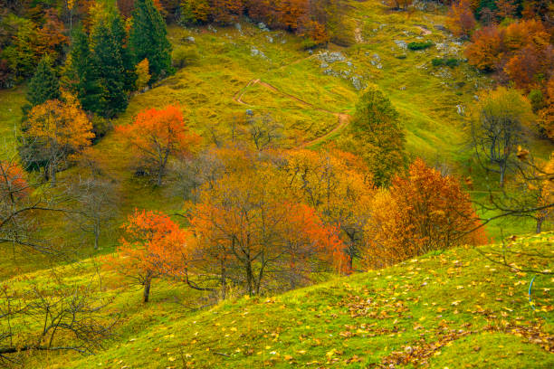istock autumn colors in the hills 1283233015