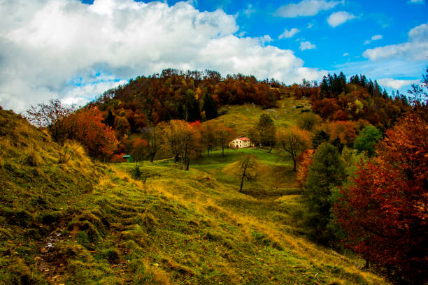 autumn foliage in the path of the big trees in the Venetian pre-Alps, on a sunny day with white clouds and rocky peaks in Recoaro, Vicenza, Italy