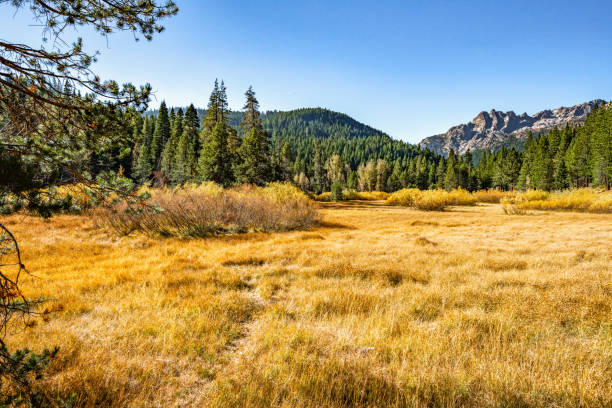 istock Open field view of the Sierra Buttes 1283233622
