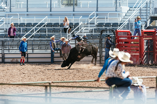Rodeo event with wild horses and raging bulls in rodeo arena in Utah, USA