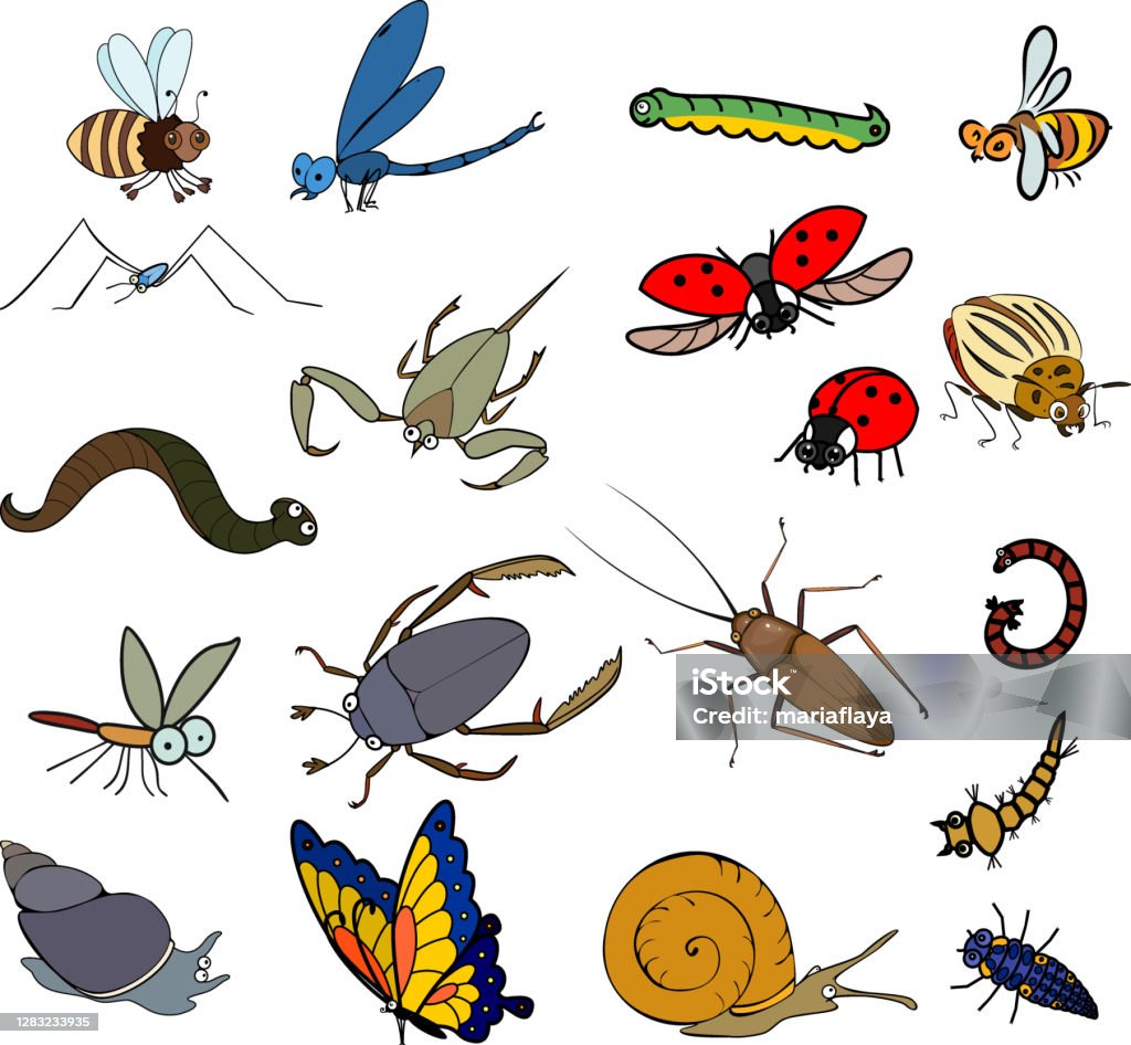 Ilustración de Conjunto De Animales Invertebrados De Dibujos Animados  Aislados Sobre Fondo Blanco y más Vectores Libres de Derechos de Abeja -  iStock