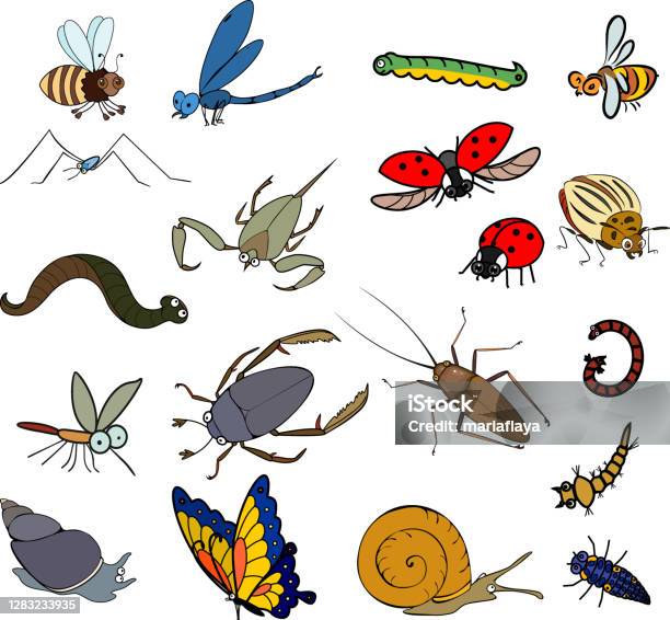  Ilustración de Conjunto De Animales Invertebrados De Dibujos Animados Aislados Sobre Fondo Blanco y más Vectores Libres de Derechos de Abeja