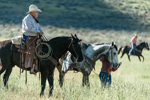 Cowboys and cowgirls riding beautiful horses on the ranch and in nature